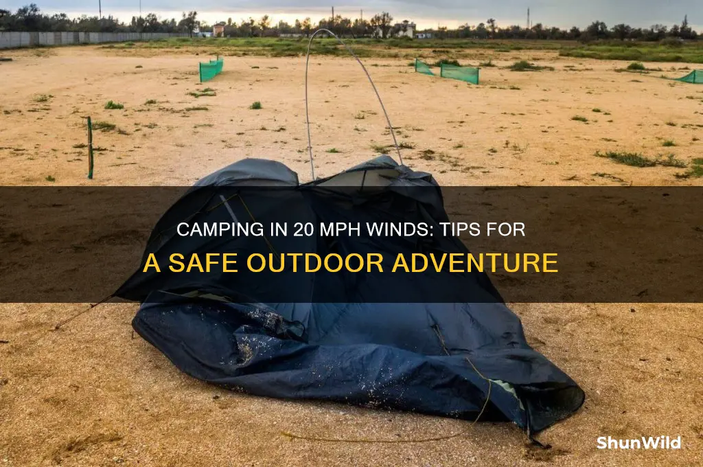 is 20 mph wind camping