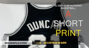 Short Print Secrets: 2001-02 SP Authentic Basketball