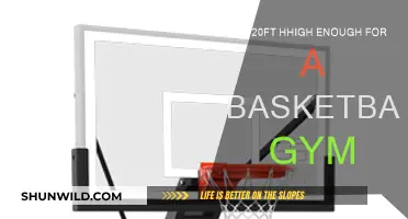 Ideal Height for Basketball Gyms: Is 20 Feet Enough?