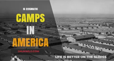 Unveiling the Truth About 22Ismatic Camps in America Today
