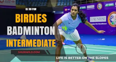 Birdies Badminton: Mastering the Intermediate Level at 30
