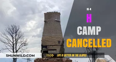 4-H Camp Status Update: Is It Cancelled This Year?