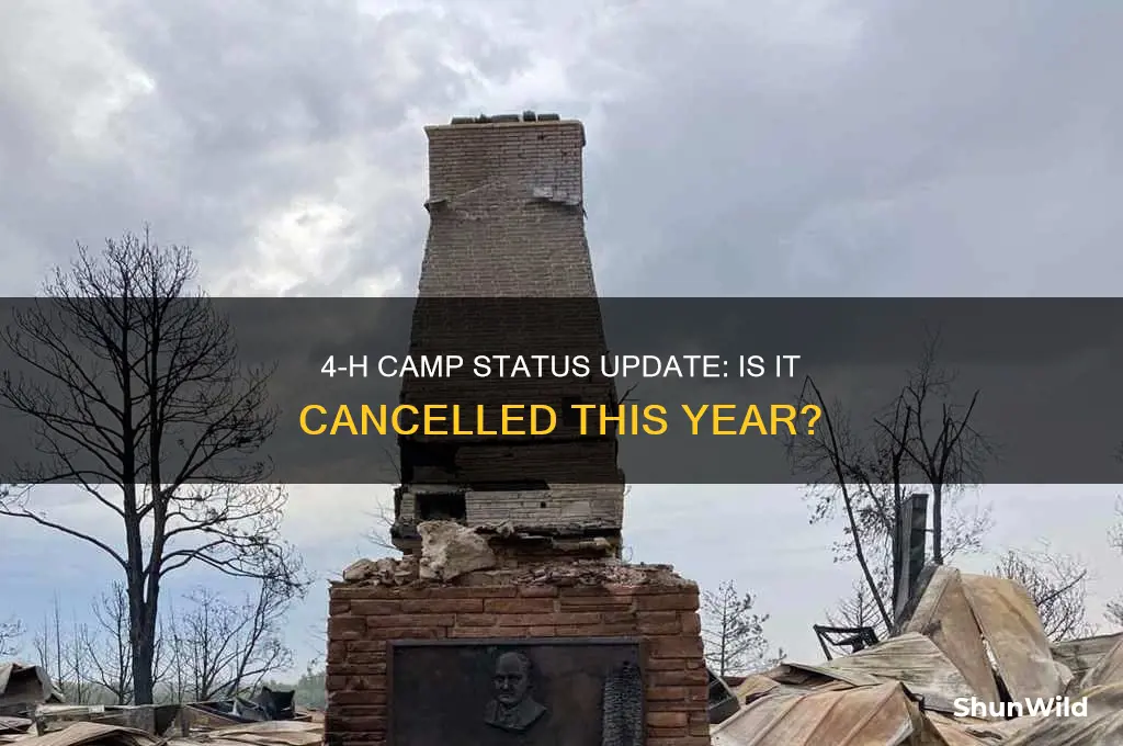 is 4 h camp cancelled