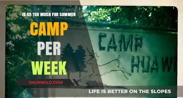 Is $55 Weekly Too Steep for Summer Camp Costs?