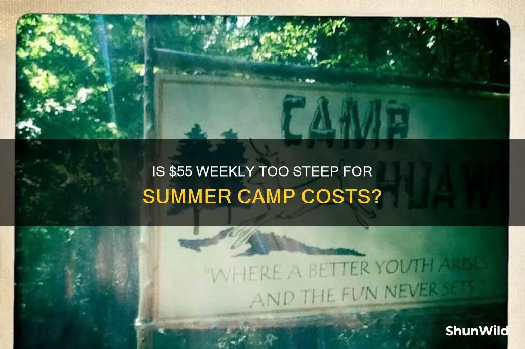 is 55 too much for summer camp per week