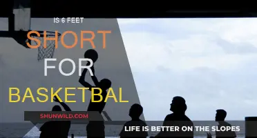 Height in Basketball: Is 6 Feet Considered Short?
