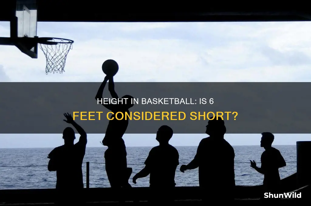 is 6 feet short for basketball