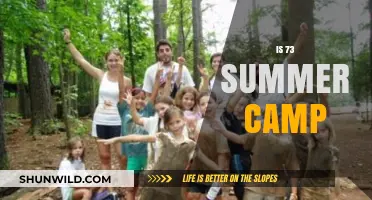 Summer Camp Adventures: Exploring the Fun of 73 Summer Camp