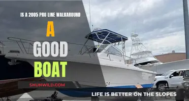 Walkaround Boat: Pro Line's 2005 Model Worthy?