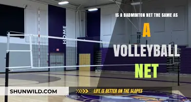 Badminton vs Volleyball: Net Differences