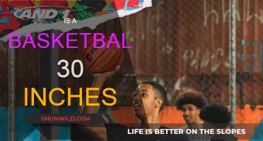 Hoop Dreams: Basketball Size Mystery Solved