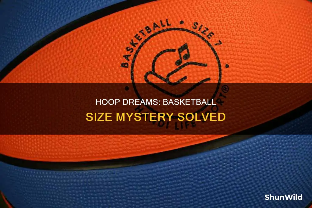 is a basketball 30 inches