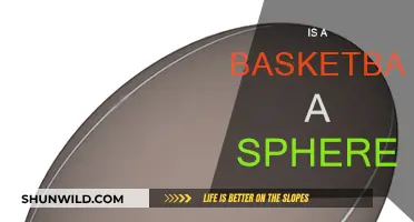 The Spherical Debate: Basketball's Shape Explored