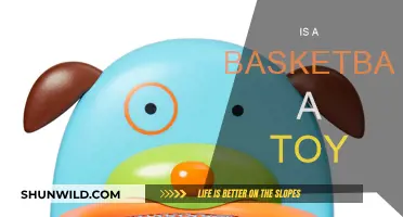 The Fun Debate: Basketball, a Toy or Not?