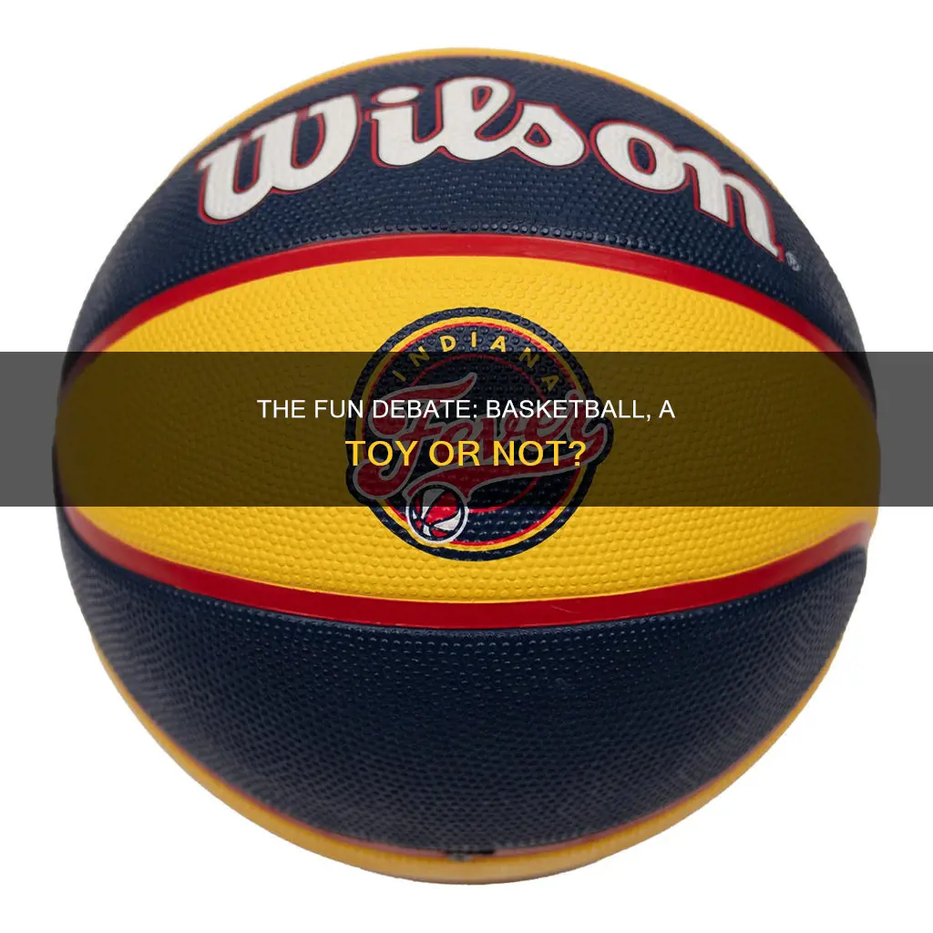 is a basketball a toy