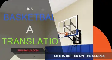What Makes Basketball a True Translation Sport?
