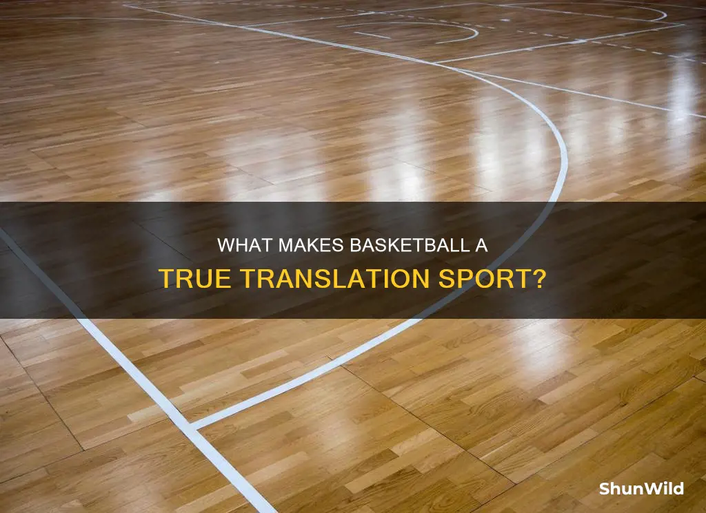 is a basketball a translation