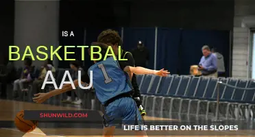 AAU Basketball: What's All the Hype About?