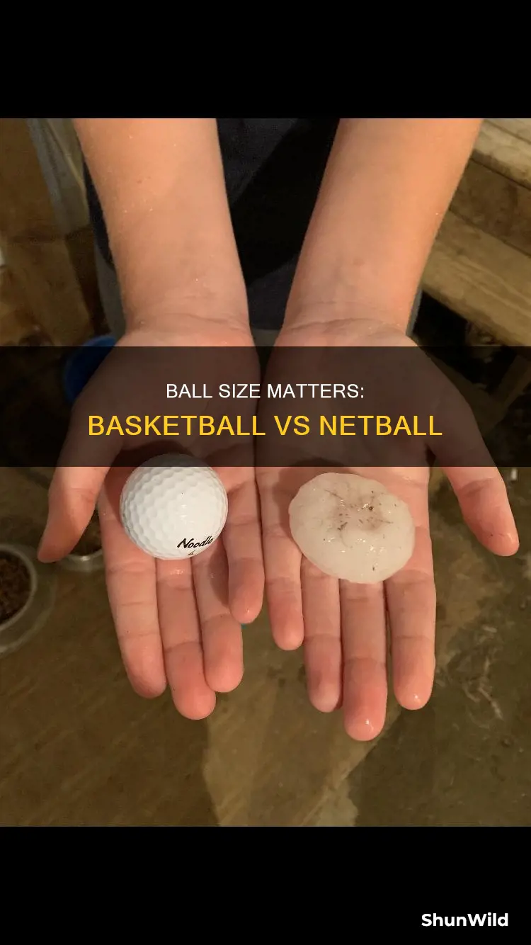 is a basketball bigger than a netball