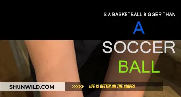 Size Comparison: Basketball vs Soccer Ball