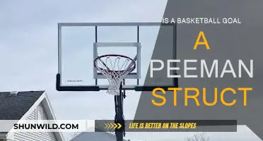 What Defines a Basketball Goal's Permanence?