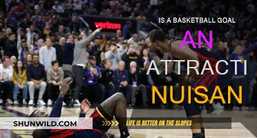 Basketball Goals: Attractive Nuisance or Not?