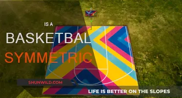 Symmetry in Basketball: The Science Behind the Sport