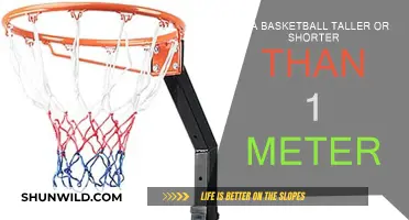 Hoop Height: How Tall is a Basketball?