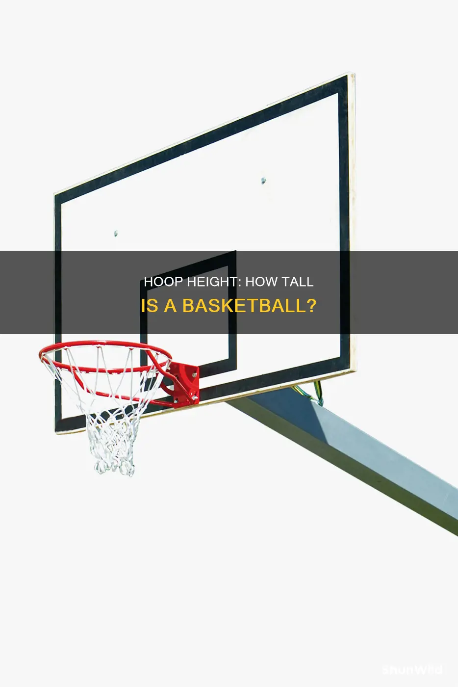 is a basketball taller or shorter than 1 meter