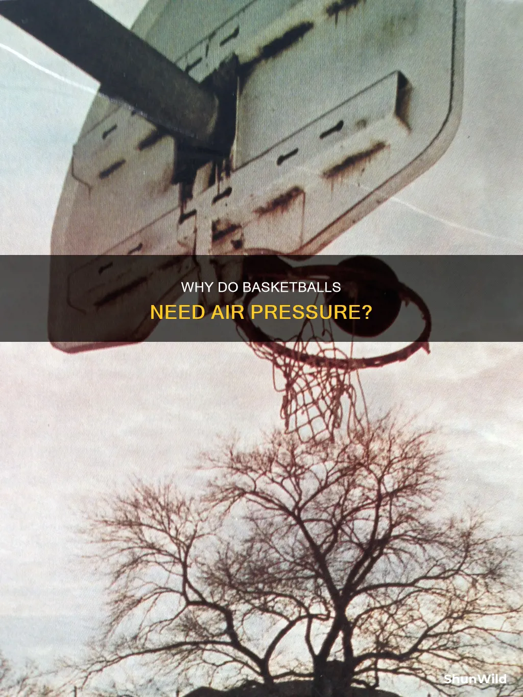 is a basketball