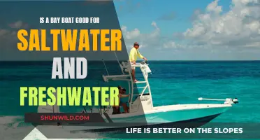 Bay Boats: Saltwater and Freshwater Versatility Explored