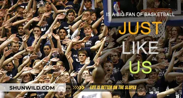 Basketball Fanatics: Our Love for the Game