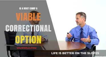 Boot Camps as Correctional Options: Effective Rehabilitation or Temporary Fix?