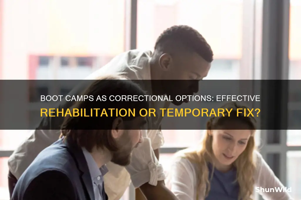 is a boot camp a viable correctional option