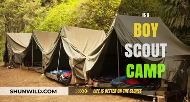 Exploring the Adventure: What Makes a Boy Scout Camp Unique?