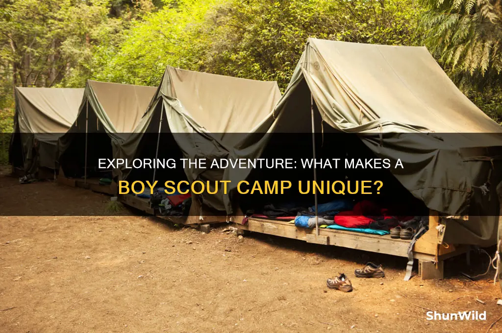 is a boy scout camp