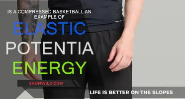 Basketball's Elastic Potential Energy: The Science Behind It