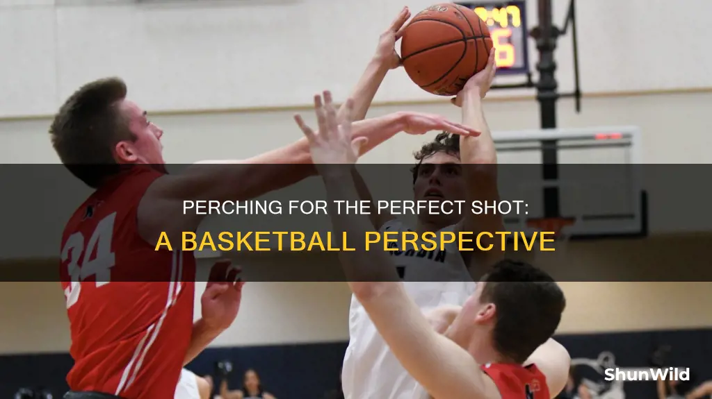 is a perch a basketball shot