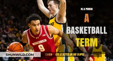 Basketball Perch: What Does This Term Mean?