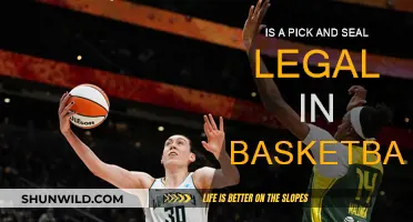 Pick-and-Roll: Legal or Foul Play?
