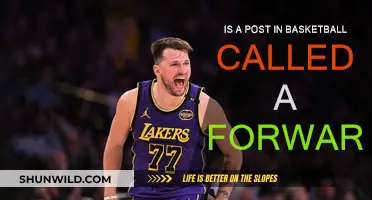 Basketball Positions: What's a Forward?