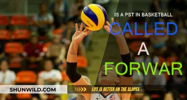Basketball Positions: Understanding the Forward Spot