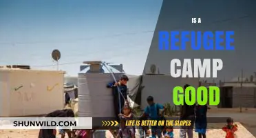 Are Refugee Camps a Viable Solution or Temporary Band-Aid?