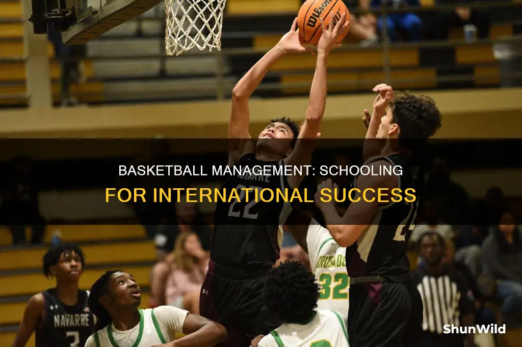 is a school beneficial in international basketball manager