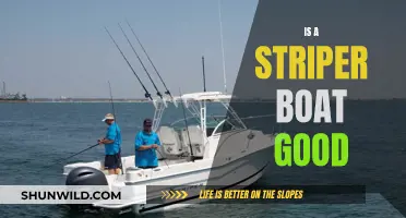 Striper Boats: Worth the Hype?