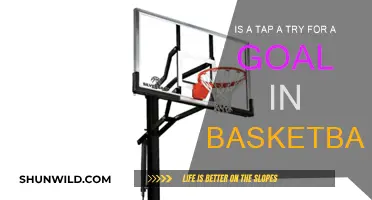 Taps and Tries: Basketball's Scoring Secrets
