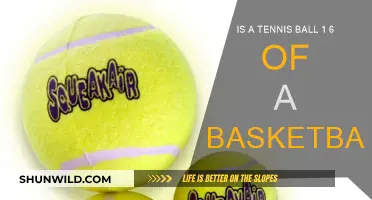 Tennis Ball and Basketball: What's the Size Ratio?