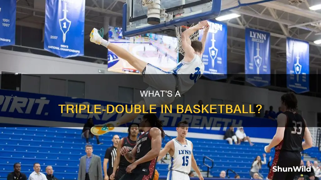 is a triple double in basketball