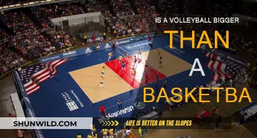 Volleyball vs Basketball: Which Sport Has a Bigger Ball?