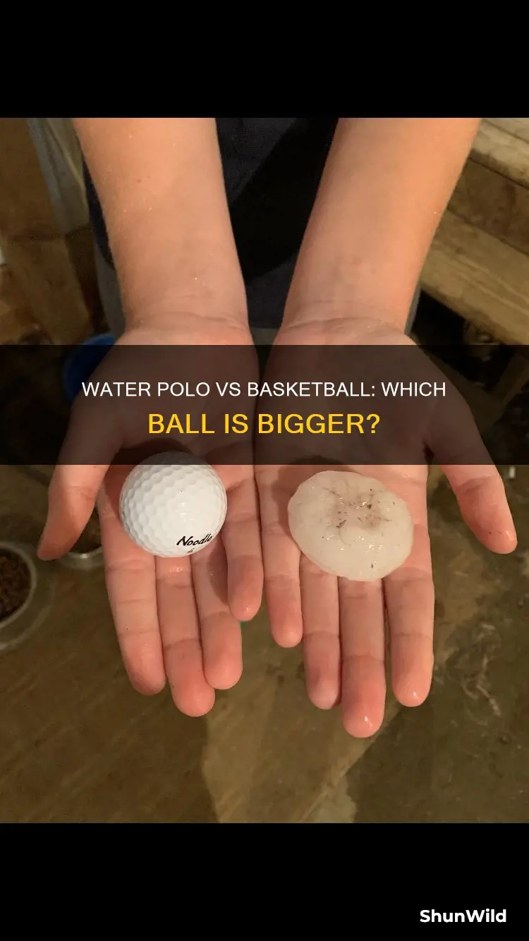 is a water polo ball bigger than a basketball